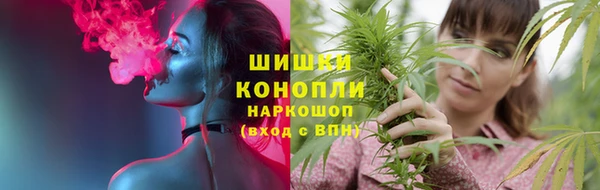 СК Горно-Алтайск