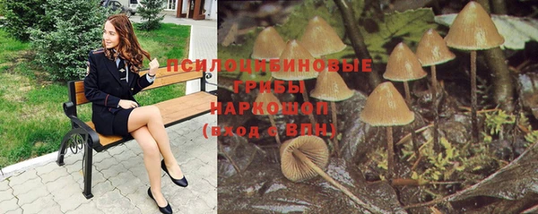 СК Горно-Алтайск