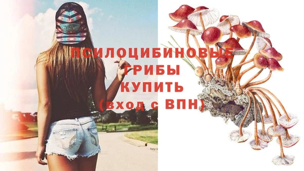 меф Горняк