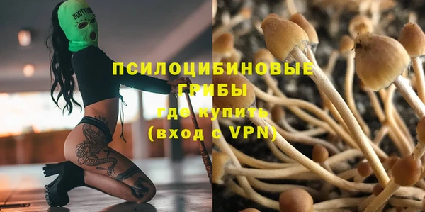a pvp Гусиноозёрск