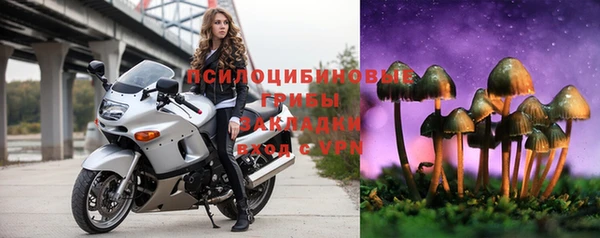 СК Горно-Алтайск