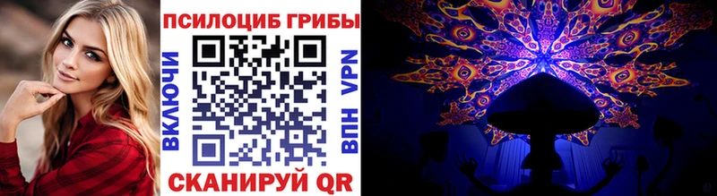 где продают   Похвистнево  Псилоцибиновые грибы ЛСД 